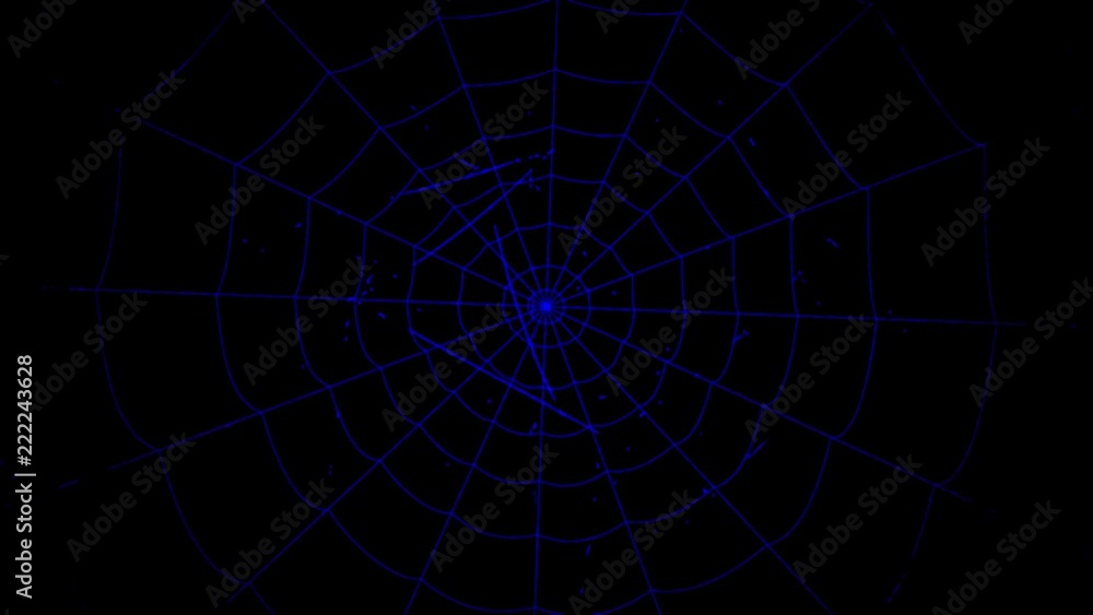 concentric cobwebs on a black background concentric cobwebs on a black background