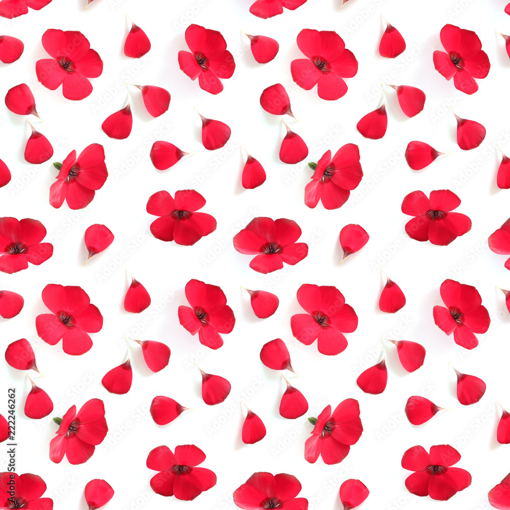 Composition seamless pattern from wild flowers isolated on white background, flat lay, top view. Composition seamless pattern from wild flowers isolated on white background, flat lay, top view.