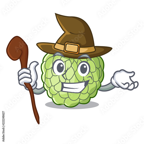 Witch fresh custard apple sweet fruit cartoon