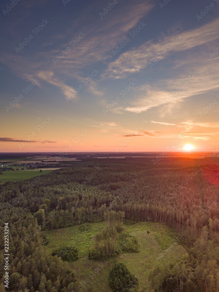 Aerial landscape with forest in sunset light