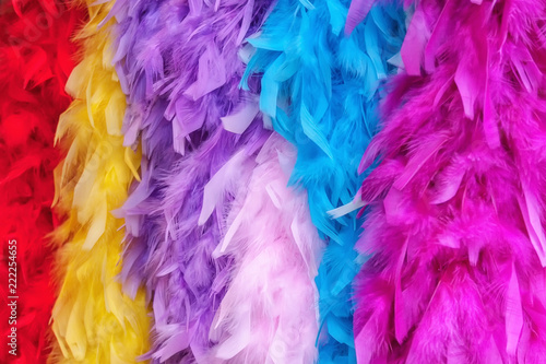 Colorful Feather Boas photo