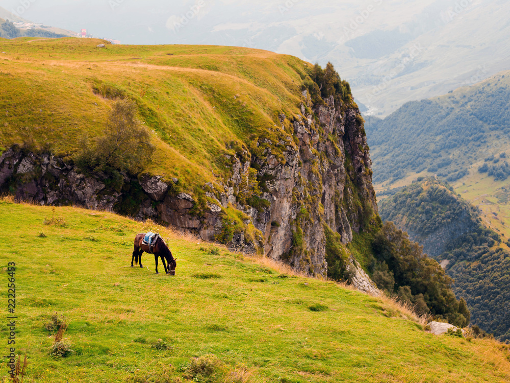 Mountain landscape with grazing horses, Georgia of autumn, Kazbegi