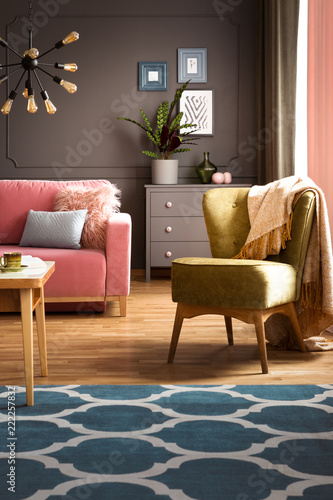 Armchair with blanket standing in real photo of dark living room interior with powder pink couch, fresh plant and carpet with moroccan trellis