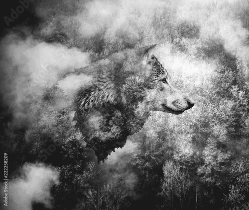 Black and White Collage: Wolf Head and the Misty Forest.