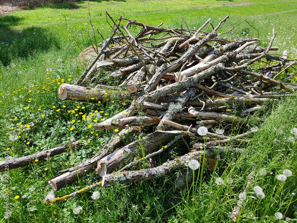 Biotop, Holzhaufen