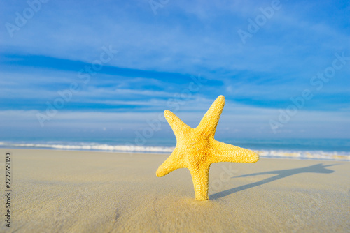 Starfish on the Beach