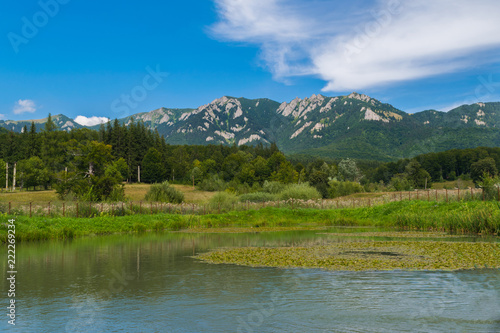 Landscape of lake, green vegetation forest and mountains the the foreground with blue sky - copysapce