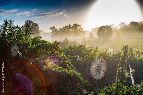 Wiesen in der Morgensonne mit Nebel und Spinnennetzen photo