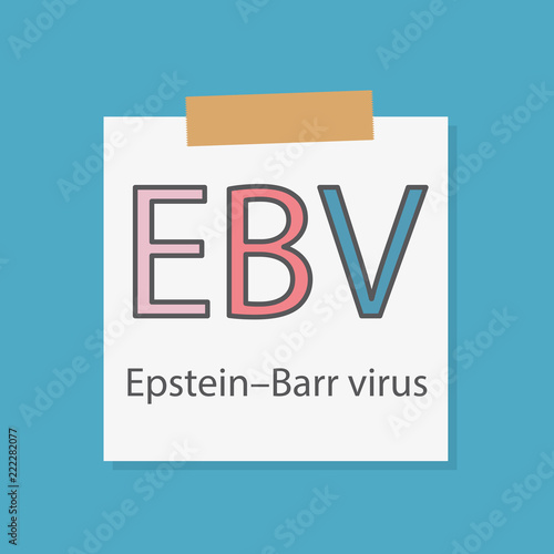 EBV Epstein–Barr virus written in a notebook paper- vector illustration photo