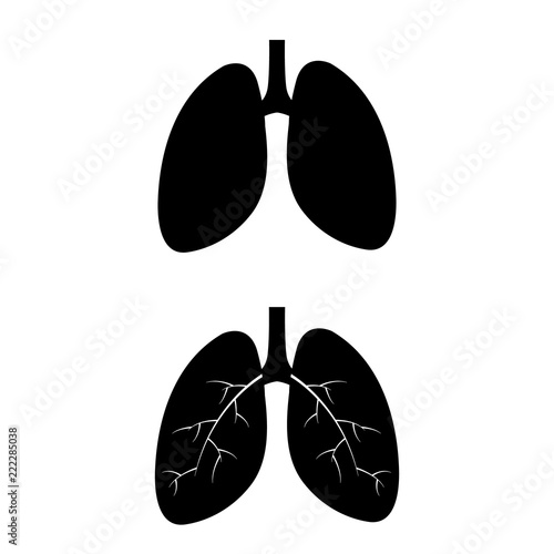 Lungs  - vector icon silhouette, logo on white background