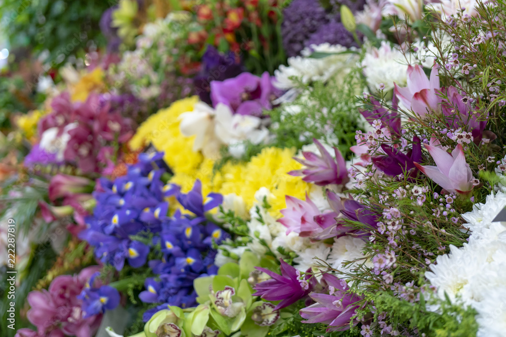 Wall of flowers and herbs. Wall of flowers and herbs.