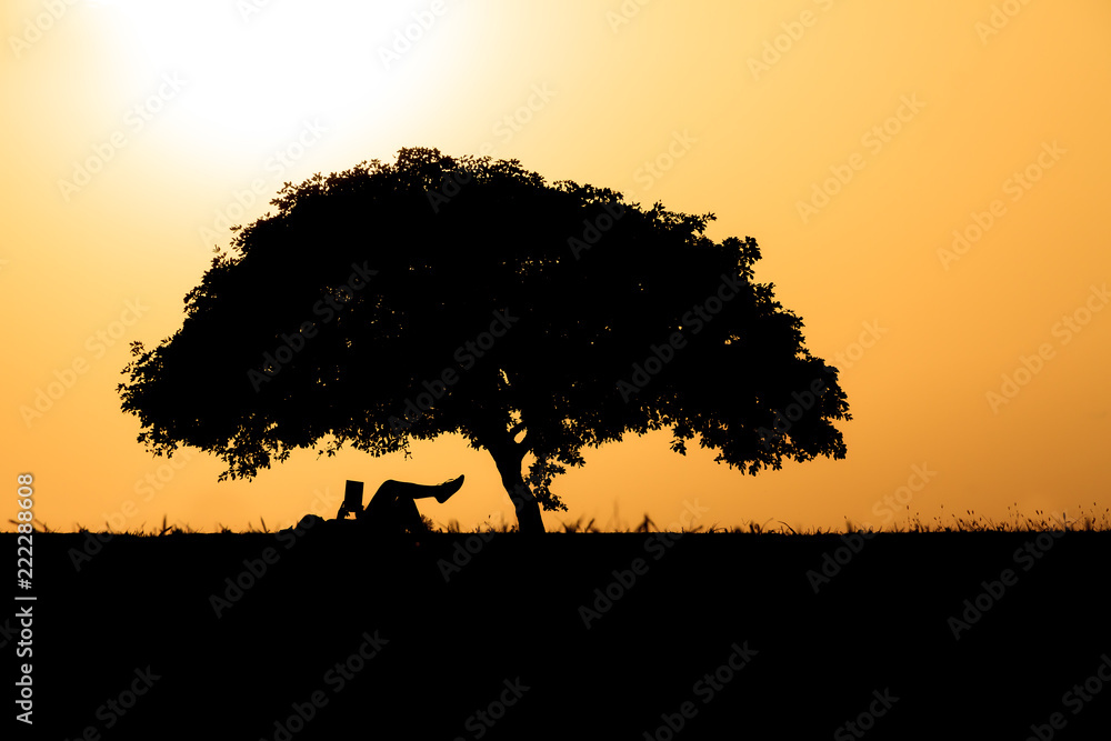 Silhouette of a person relaxing underneath a small tree at sunset in San Juan, Puerto Rico
