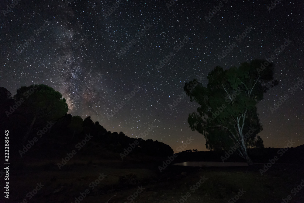 Milky Way over the forests of Granadilla. Extremadura. Spain. Milky Way over the forests of Granadilla. Extremadura. Spain.