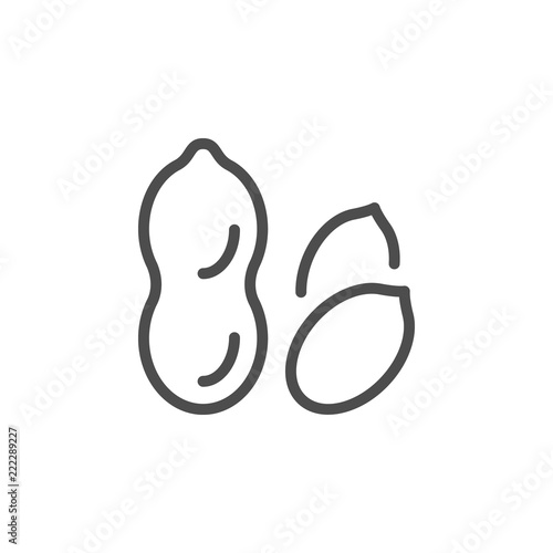 Peanut line icon