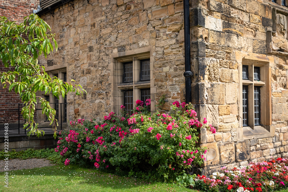 Traditional English old stone house with colorful  geranium flower beds and pink roses in a front garden