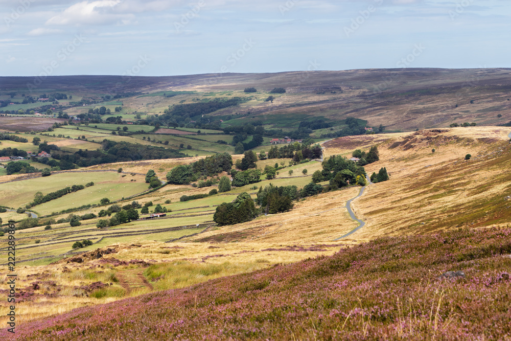 Heather moorland - a purple carpets of blooming heather stretches in stunning landscape in North York Moors National Park, Yorkshire, UK. Heather moorland - a purple carpets of blooming heather stretches in stunning landscape in North York Moors National Park, Yorkshire, UK.