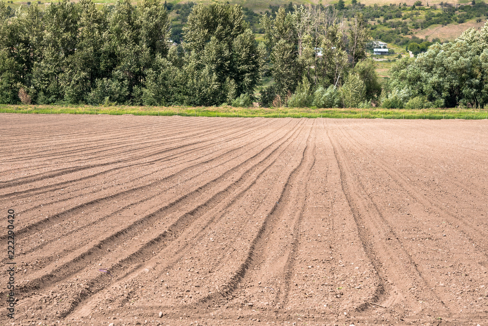Ploughed Field with on a Sunny Summer Day