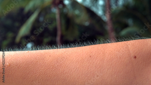 MACRO, DOF: Unknown adult person twists their arm to show their goosebumps. photo