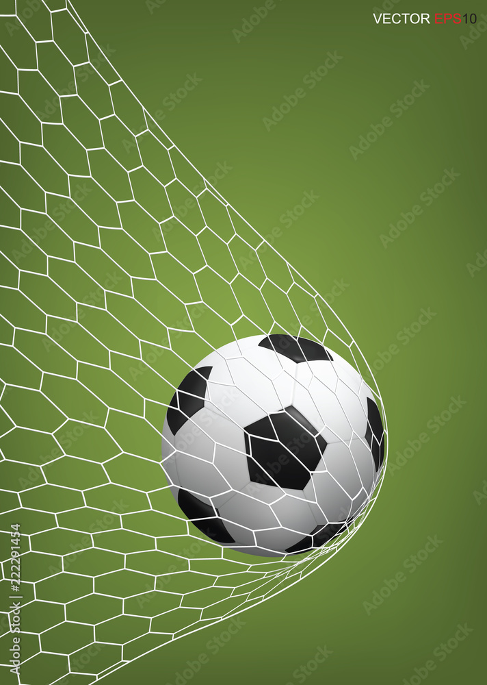 Soccer football ball in soccer goal. Vector.