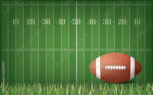 American football ball with green field pattern background. Vector.