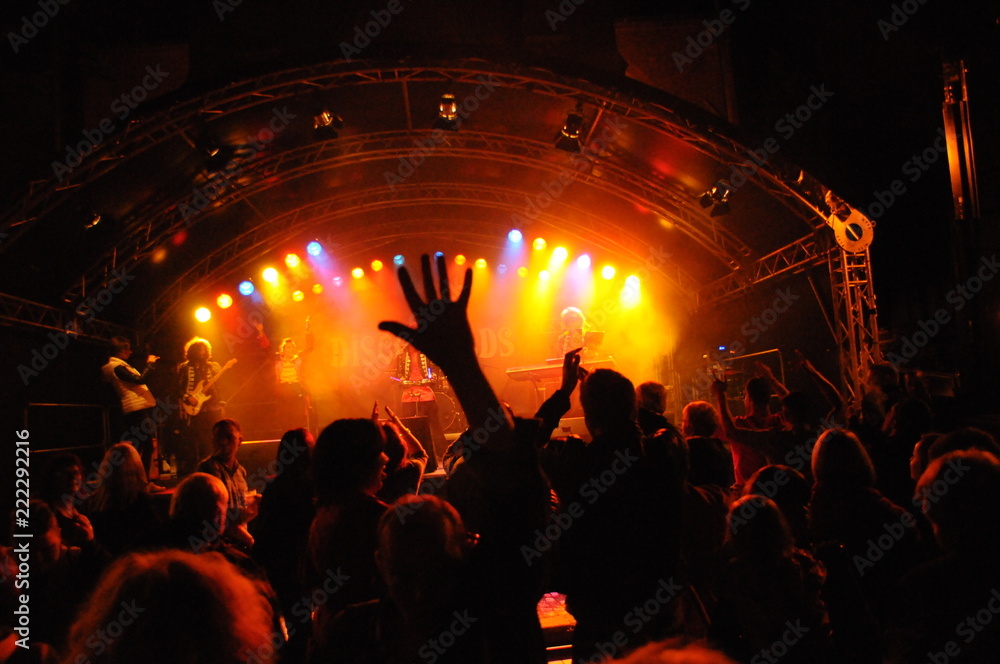 Feiernde und tanzende Menschenmenge vor einer Konzertbühne bei Nacht