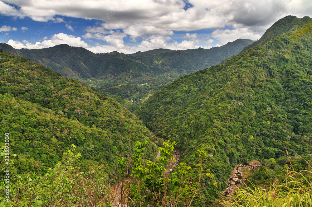Fototapeta premium Beautiful view of the hills with fog in the jungle of the El Yunque national forest in Puerto Rico