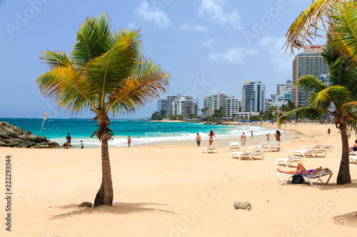 Beautiful tropical palm trees at popular touristic Condado beach in San Juan, Puerto Rico photo