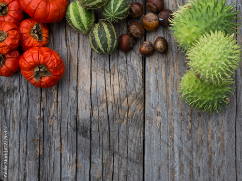 Autumn fruits