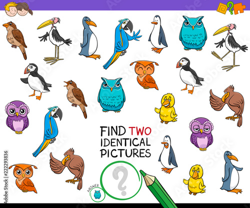 find two identical bird pictures game for kids