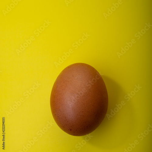 brown egg on a yellow background. Web banner.