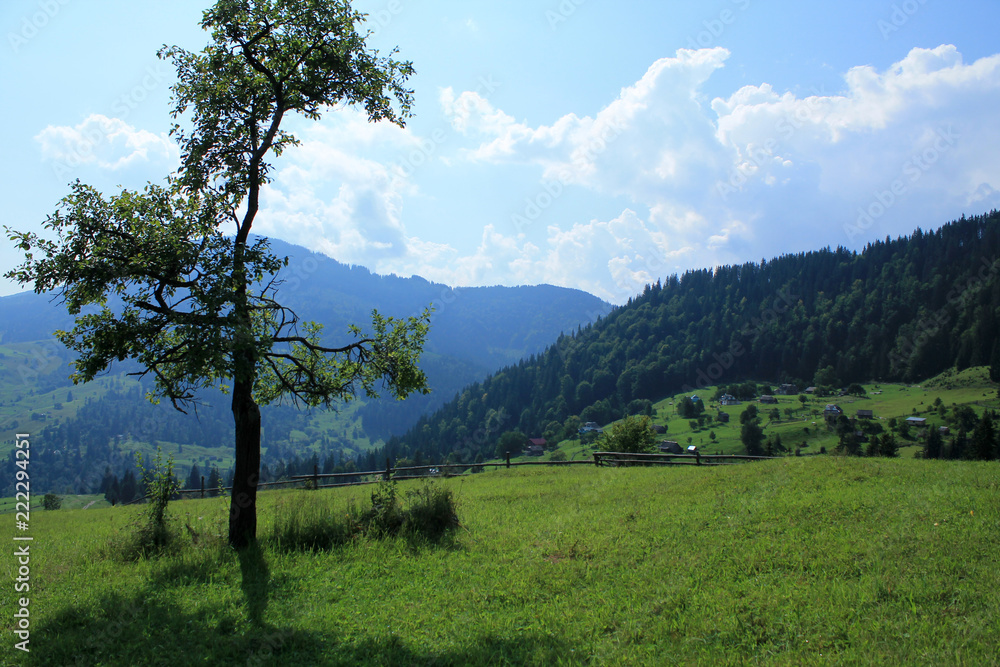 Beautiful landscape with view to tree, pasture, wooden fence, village and mountains. Beautiful landscape with view to tree, pasture, wooden fence, village and mountains.