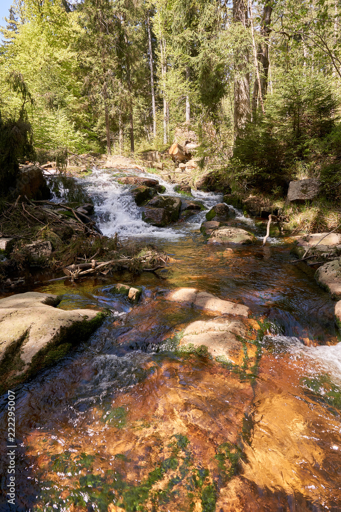 Obraz premium a clear river is flowing through natural cascades in the forest
