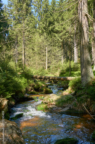 a clear river is flowing through natural cascades in the forest