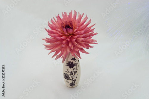 Fototapeta Naklejka Na Ścianę i Meble -  A large pink dahlia flower in a small vase.