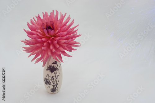 Fototapeta Naklejka Na Ścianę i Meble -  A large pink dahlia flower in a small vase.