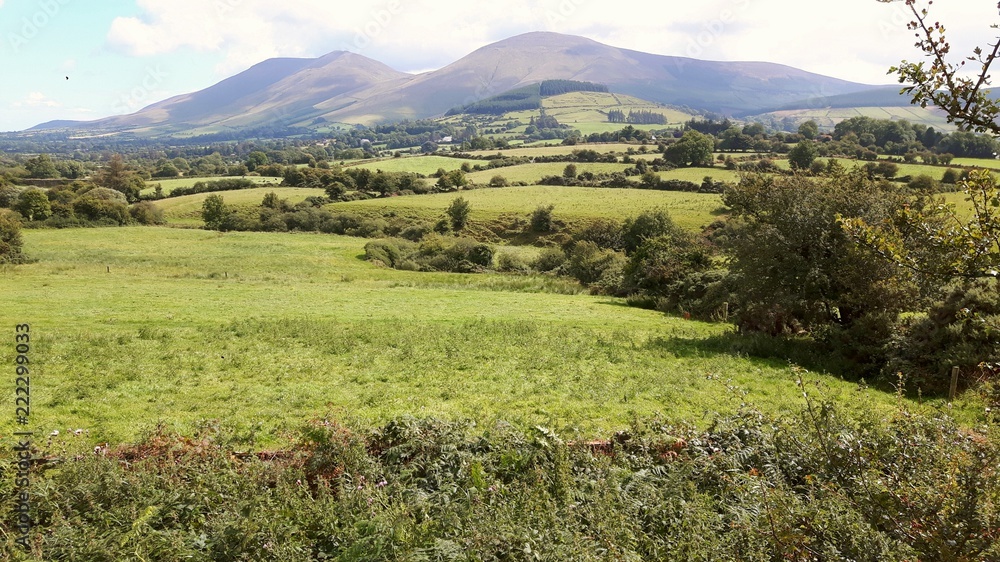 Fototapeta premium Nice View