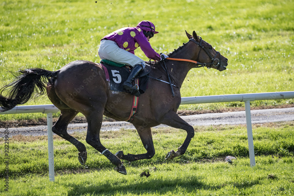 Race horse and jockey galloping on the race track, backlit sunlight background Race horse and jockey galloping on the race track, backlit sunlight background