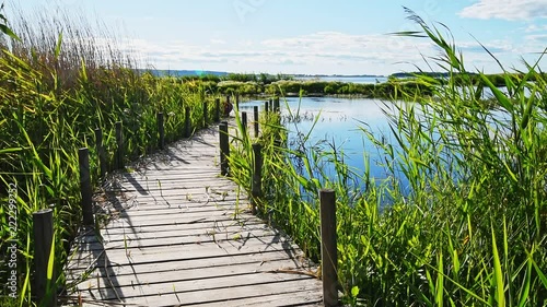 Wooden jetty surrounded by reed and landscape at the Swedish bird lake Takern in late June.