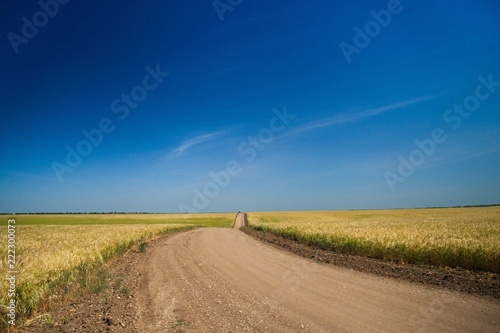Golden Barley   Wheat Field and Country Road