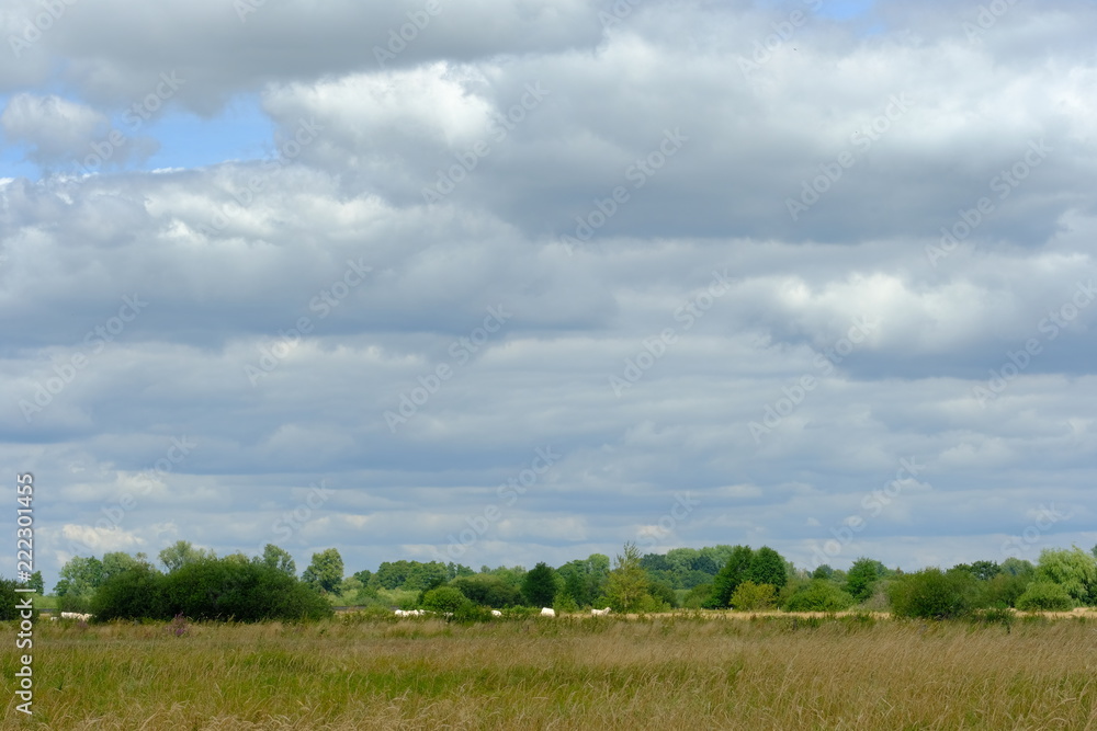 Die Landschaft rund um Worpswede im Sommer im Flußverlauf der Hamme