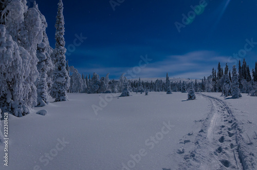 Polar night landscape in Lapland