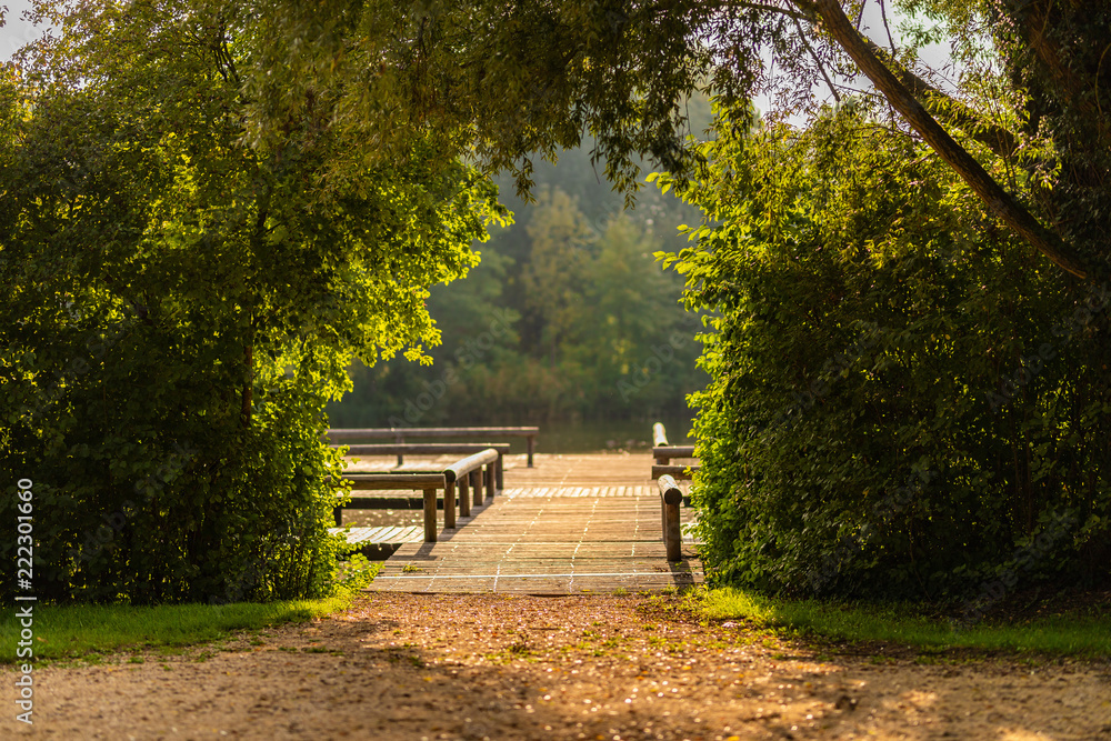 Obraz premium Hintergrund Natur 