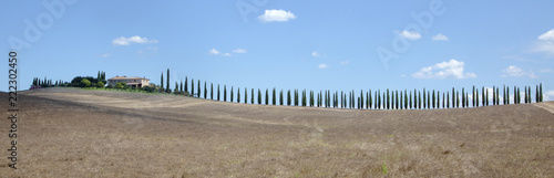 Row of cypresses in a beautiful tuscan landscape
