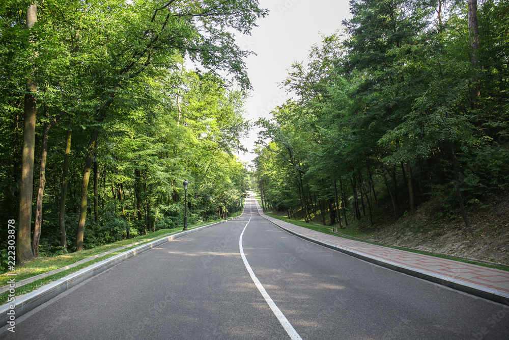 Asphalt road in park on sunny day