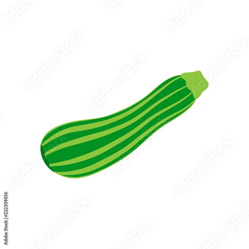 Striped green zucchini vector illustration. Seasonal courgette vegetable icon, isolated.
