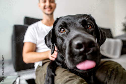 freelancer guy sitting at home working with a dog in an embrace, black labrador.