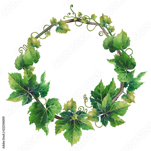 Watercolor wreath made of green grape leaves with curly elements
