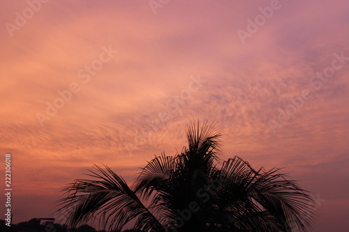 Sunset on the horizon  tinted sky  skyline