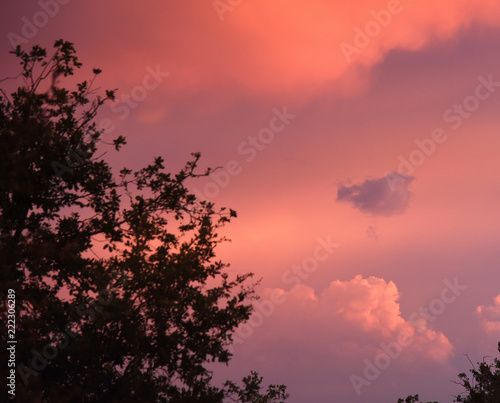 Stimmungsvoller orangeroter Abendhimmel mit kleinen Wölkchen und Baumsilhouette photo