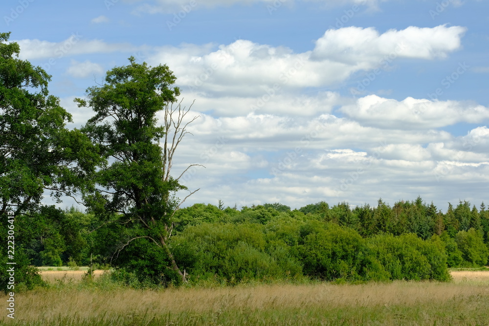 Im Bereich der Flußlandschaft der Hamme im Sommer in der Umgebung von Worpswede Im Bereich der Flußlandschaft der Hamme im Sommer in der Umgebung von Worpswede